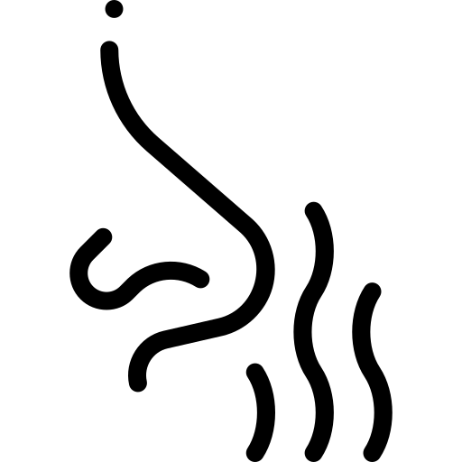 Tonalité